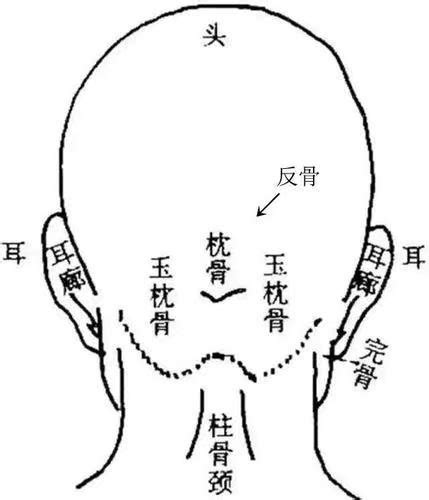 後腦沙沙聲|头部在左右晃动的时候，后脑勺就会有沙沙的声音发出，好像里面。